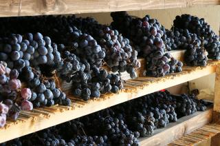 Produzione vini della Valpolicella 