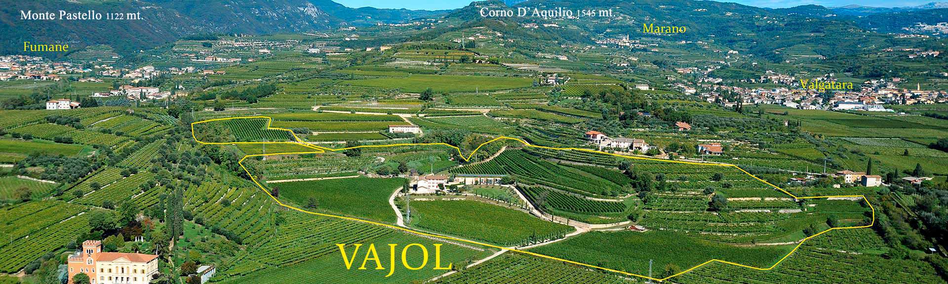 Rubinelli Vajol - Vineyards